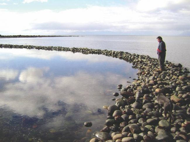 WhatsApp Image 2022-08-24 at 8.42.46 AM