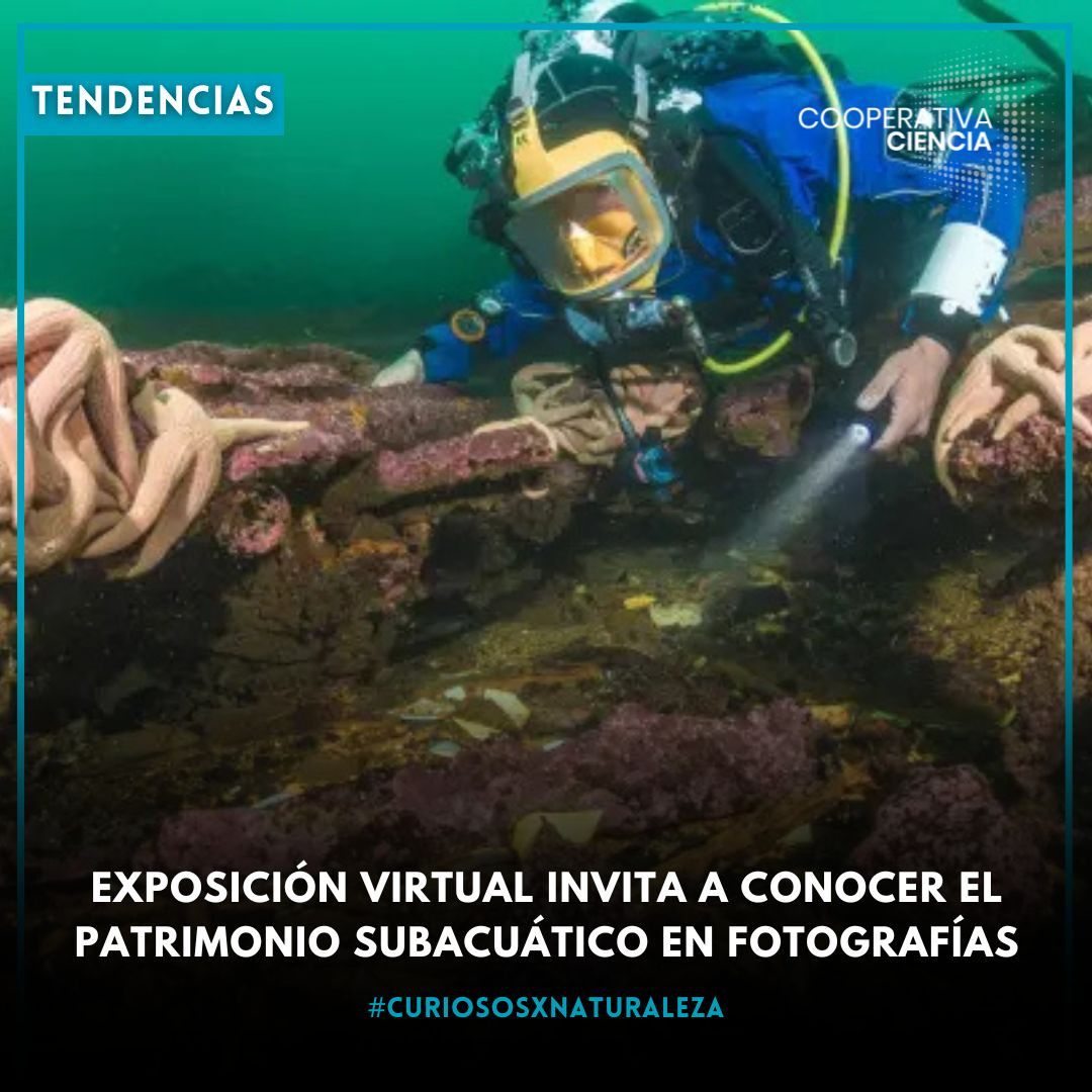 475156727_540275625698406_3892202138066650791_n